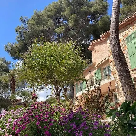 Rez De Jardin Dans Une Pinede